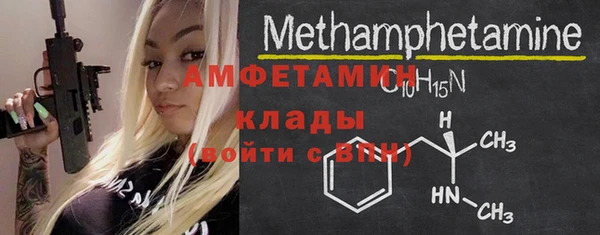 шишки Абаза