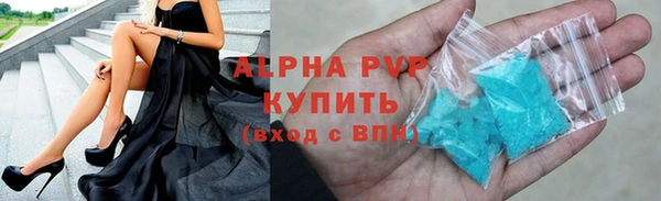 шишки Абаза