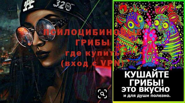 шишки Абаза