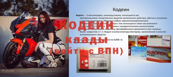 шишки Абаза